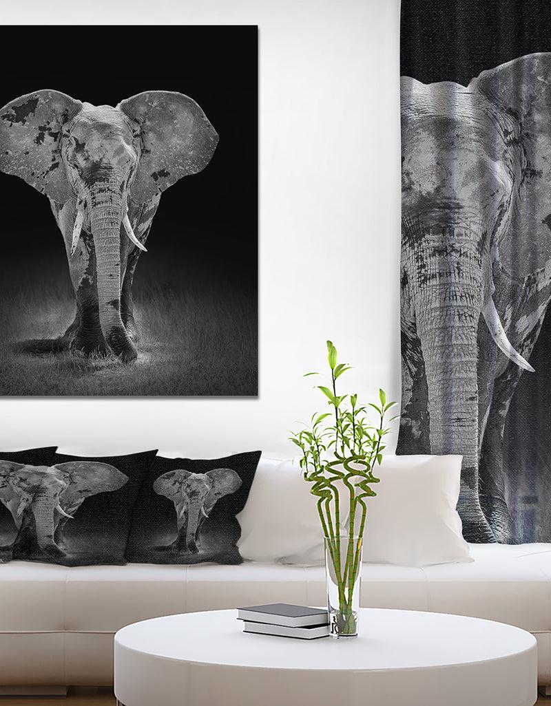 DesignQ African Big Elephant - Africa Animals photography on Wrapped Canvas