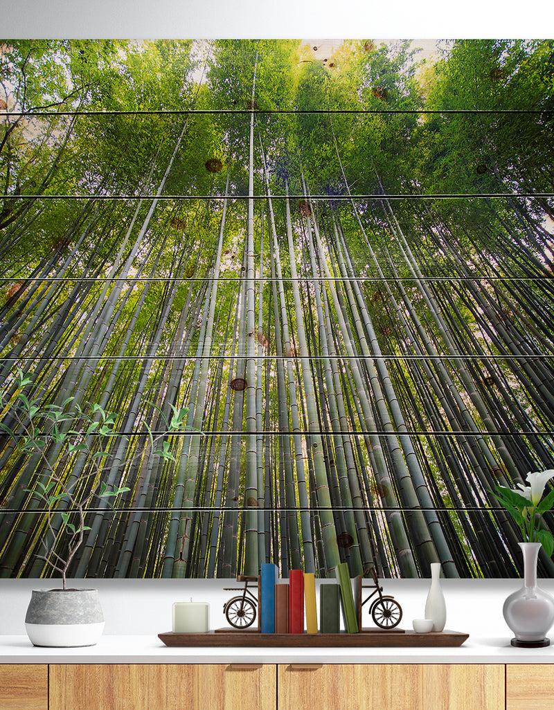 DesignQ Bamboo forest of Kyoto Japan. - Forest Print on Natural Pine Wood