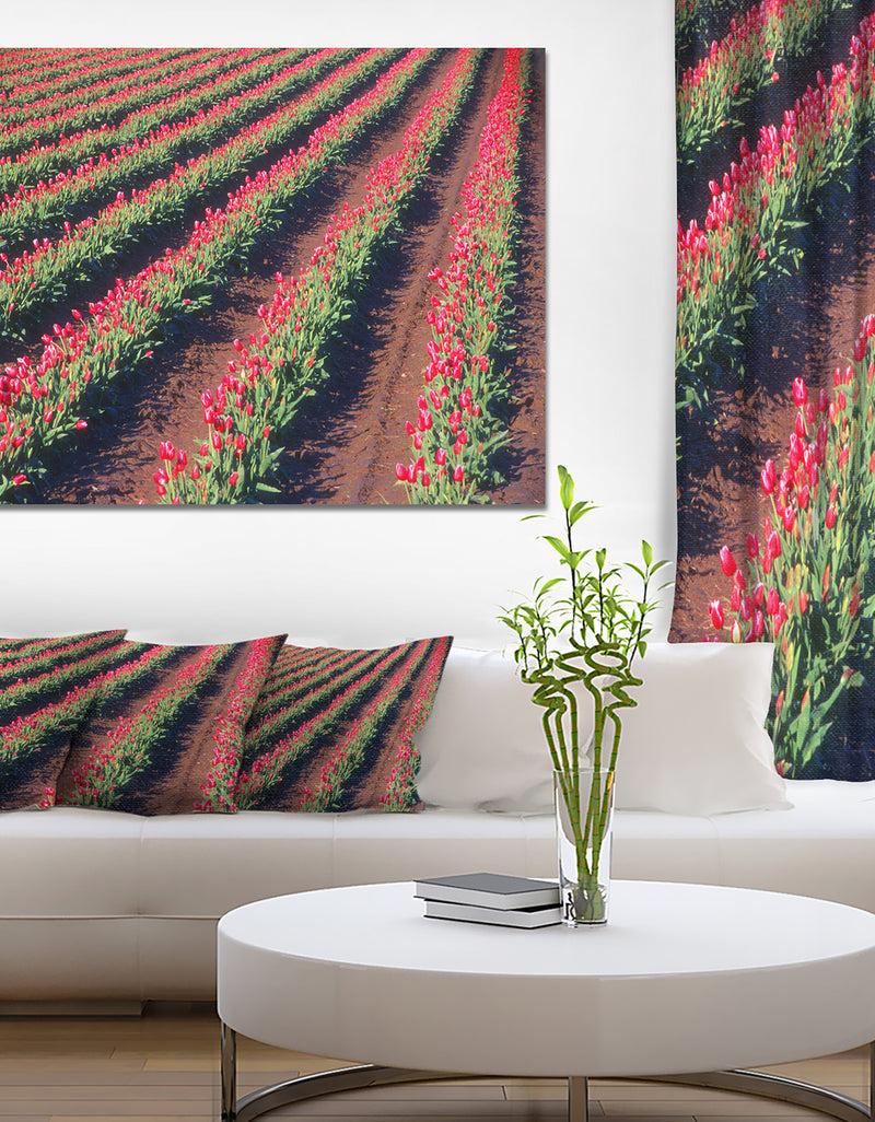 DesignQ Beautiful Field Of Red Tulip Flowers - Large Landscape Canvas Art