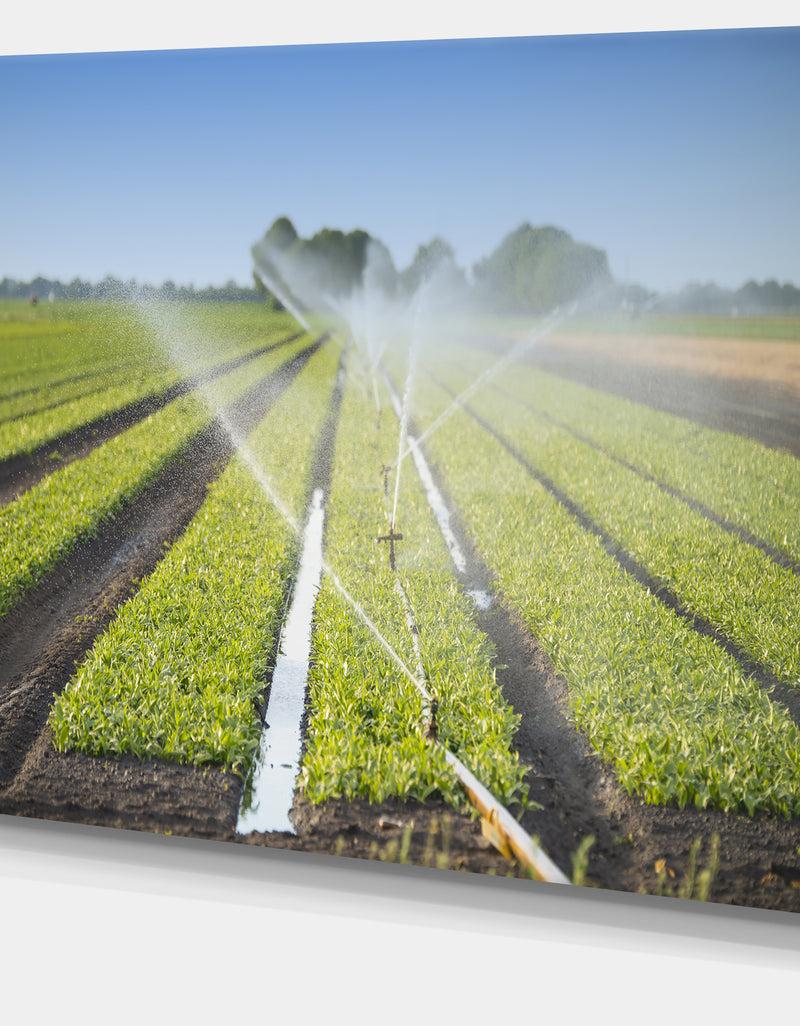 DesignQ Beautiful View Of Crops Watering - Extra Large Landscape Canvas Art Print