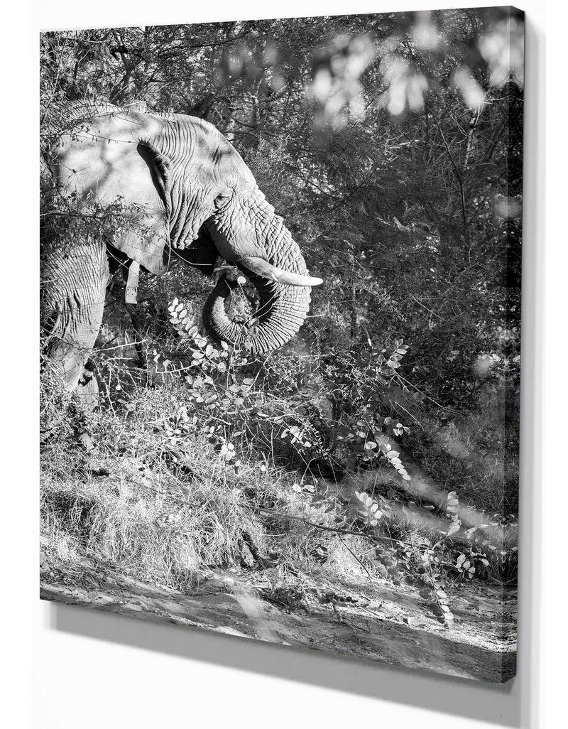 DesignQ Black And White Elephant - Africa Animals Painting Print On Wrapped Canvas