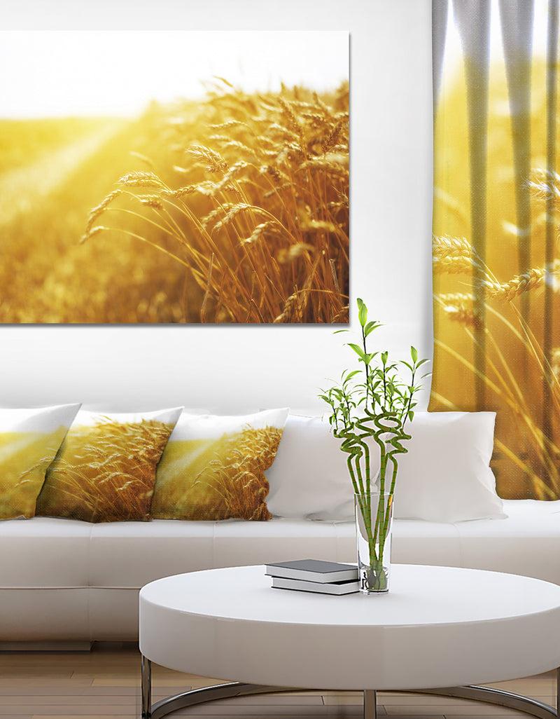 DesignQ Bright Sunset Over Wheat Field - Landscape Canvas Wall Artwork