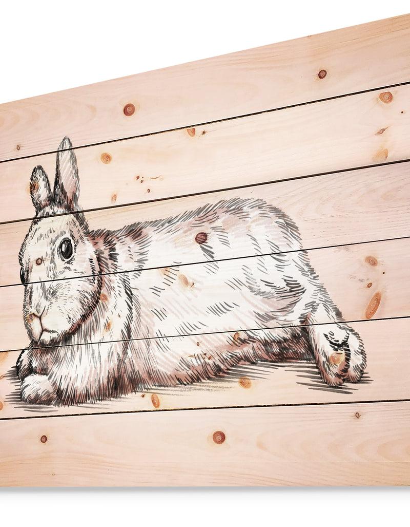 DesignQ Brush Painting Ink Draw Isolated Rabbit Illustration - Farmhouse Animal Painting Print On Natural Pine Wood
