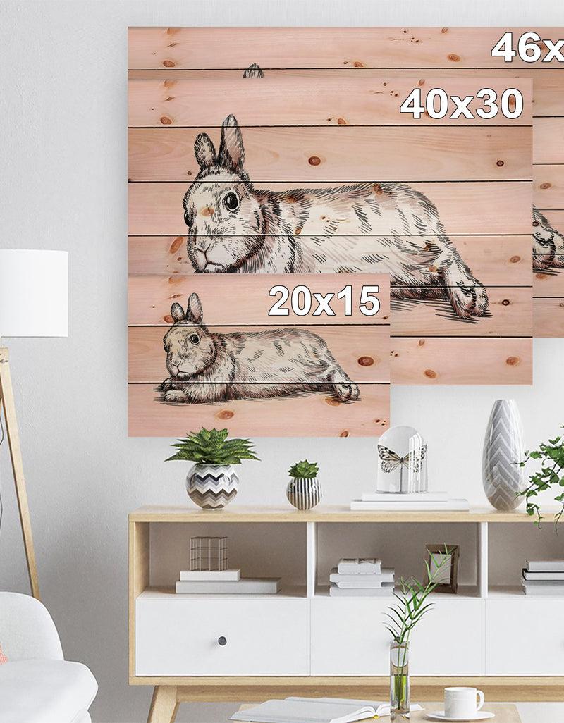 DesignQ Brush Painting Ink Draw Isolated Rabbit Illustration - Farmhouse Animal Painting Print On Natural Pine Wood
