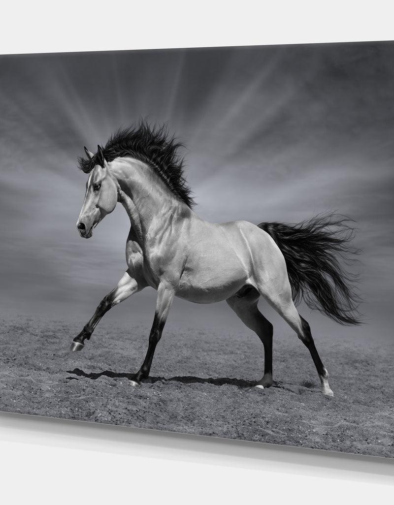 DesignQ Chestnut Horse In Motion - Farmhouse Animals Photographic On Wrapped Canvas