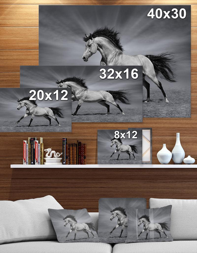 DesignQ Chestnut Horse In Motion - Farmhouse Animals Photographic On Wrapped Canvas