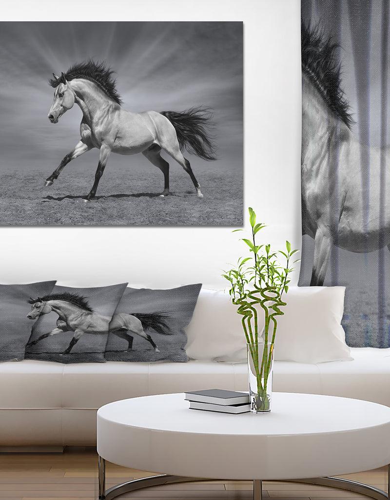 DesignQ Chestnut horse in motion - Farmhouse Animals Photographic on wrapped Canvas