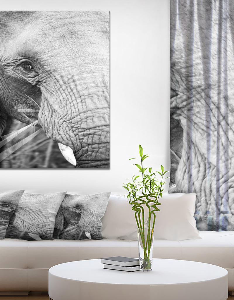 DesignQ Close up of an elephant eating - Africa Animals Photography on Wrapped Canvas