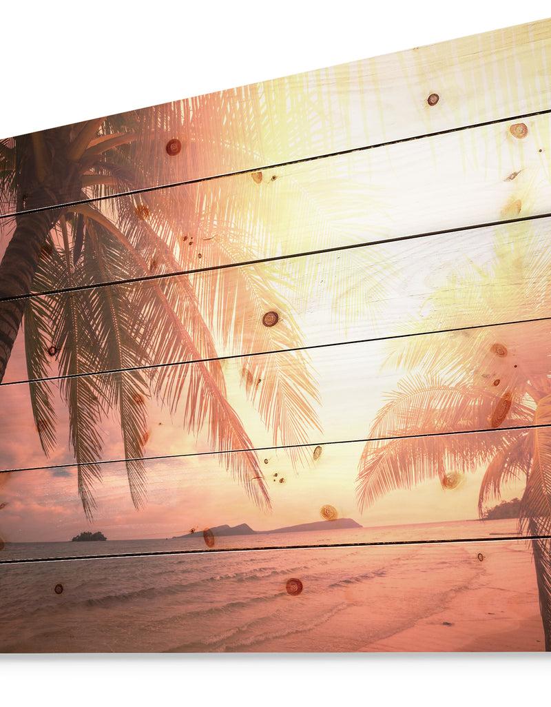 DesignQ Coconut In Golden Sunset - Landscapes Sea & Shore Photographic Print On Natural Pine Wood