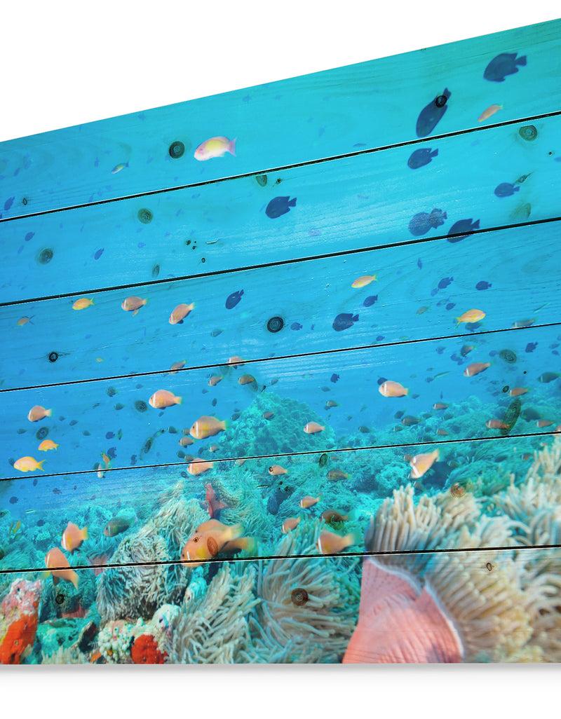 DesignQ Colony Of Maldives Anemone Fish - Sea & Shore Nautical Print On Natural Pine Wood