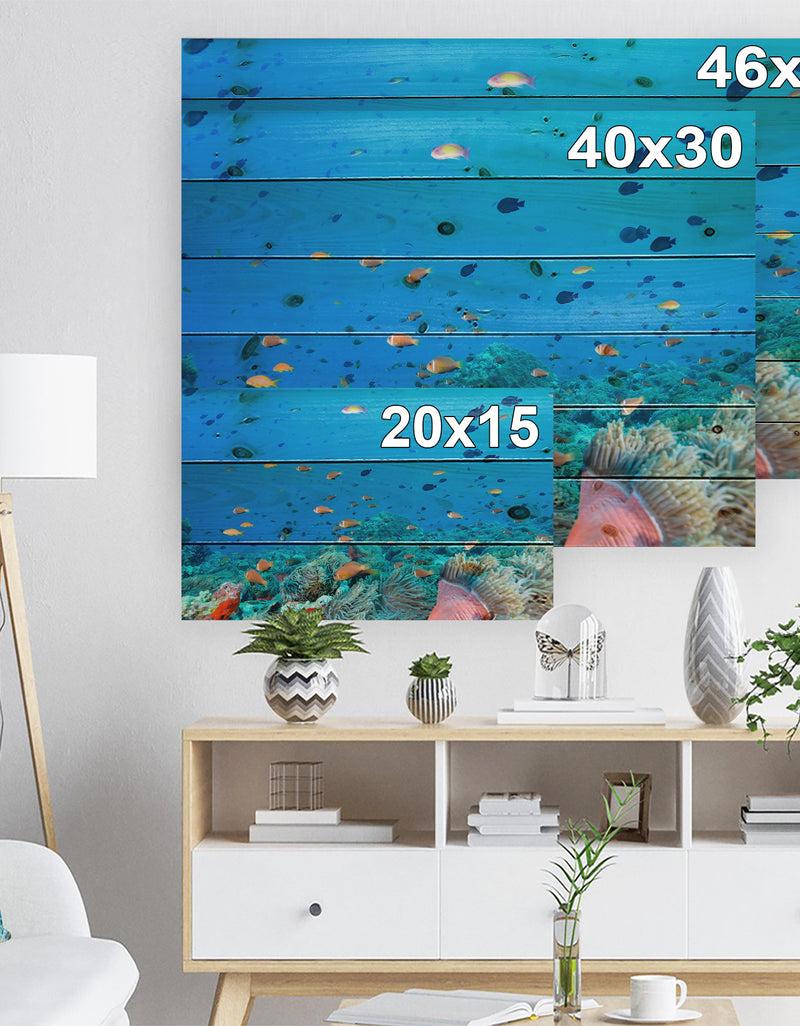 DesignQ Colony Of Maldives Anemone Fish - Sea & Shore Nautical Print On Natural Pine Wood