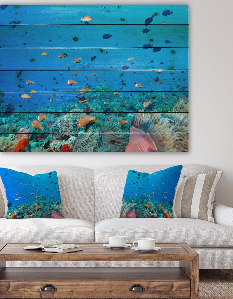 DesignQ Colony of Maldives anemone fish - Sea & Shore Nautical Print on Natural Pine Wood