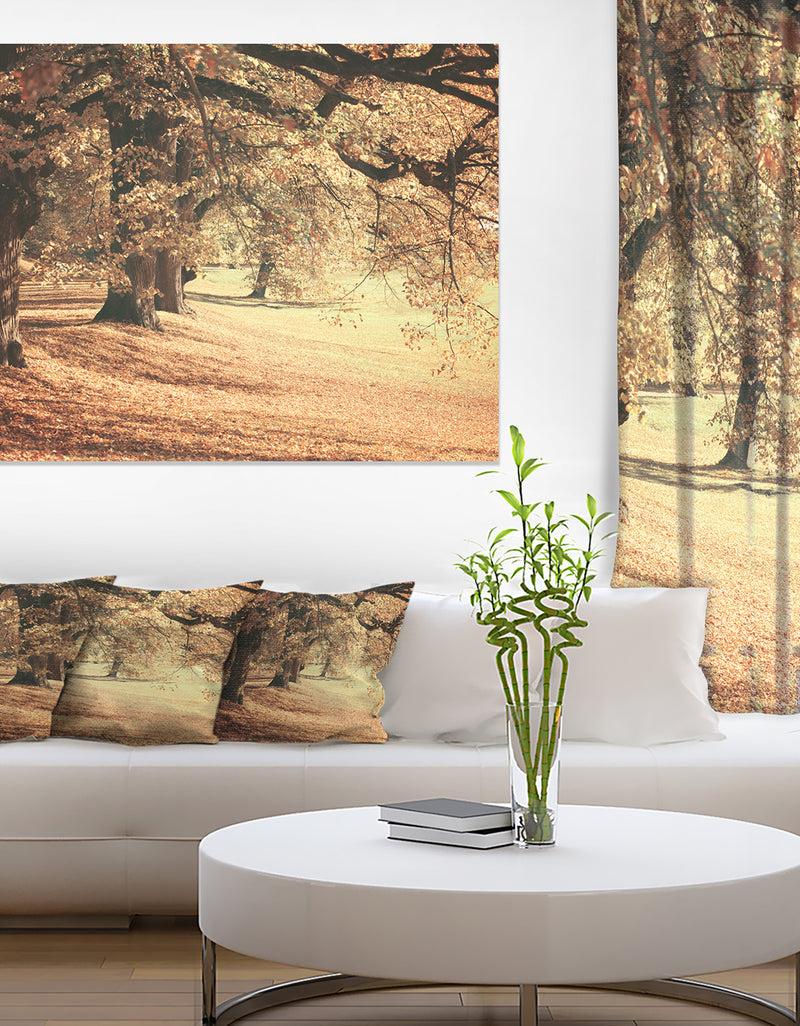 DesignQ Dreamy Imagery of Autumn Forest - Modern Forest Canvas Art