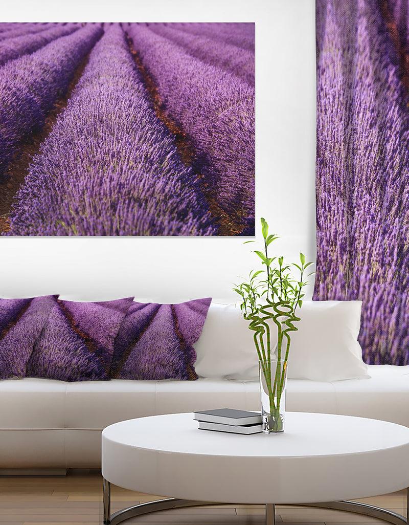 DesignQ Endless Rows of Lavender Field - Oversized Landscape Wall Art Print
