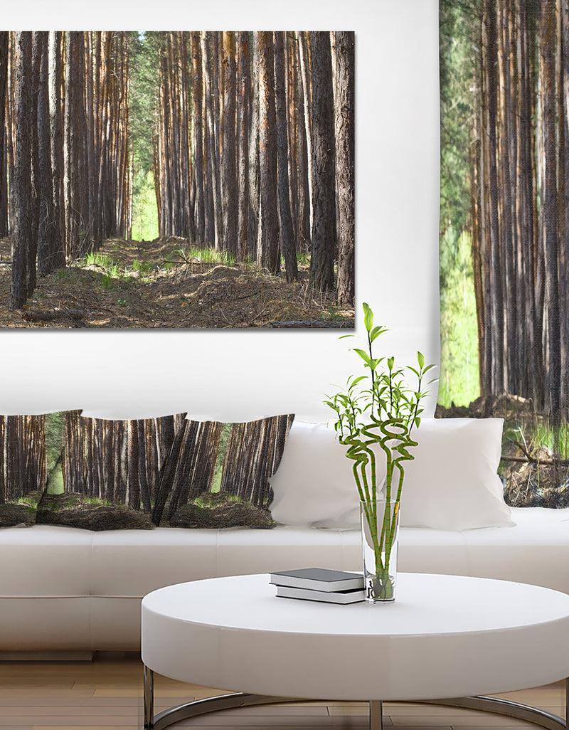 DesignQ Even Rows of Pine Tree Forest - Modern Forest Canvas Art
