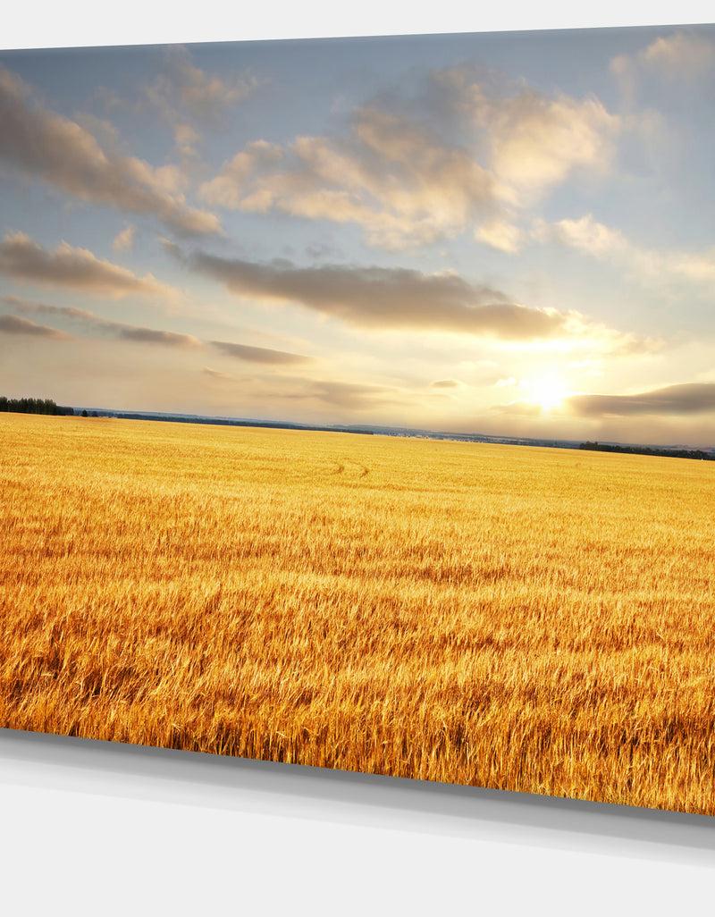 DesignQ Expansive Brown Field - Landscape Wall Art Canvas
