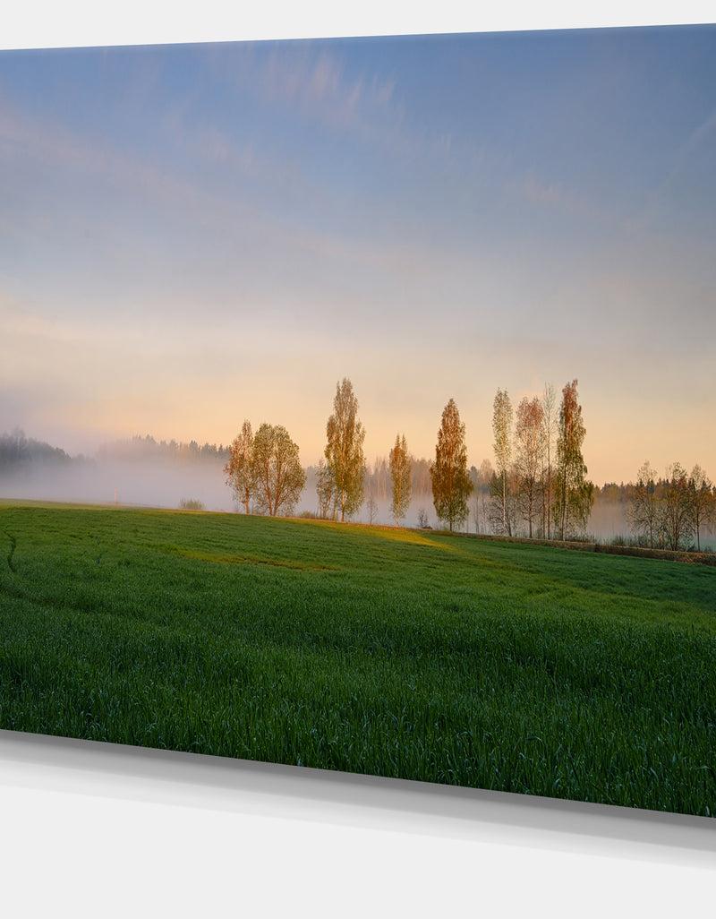 DesignQ Foggy Early Morning Panorama - Landscape Wall Artwork