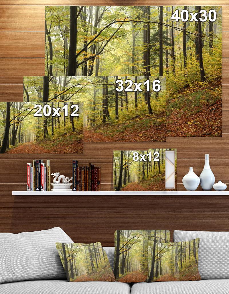 DesignQ Forest Trail In The Fog - Forest Landscapes Photographic On Wrapped Canvas