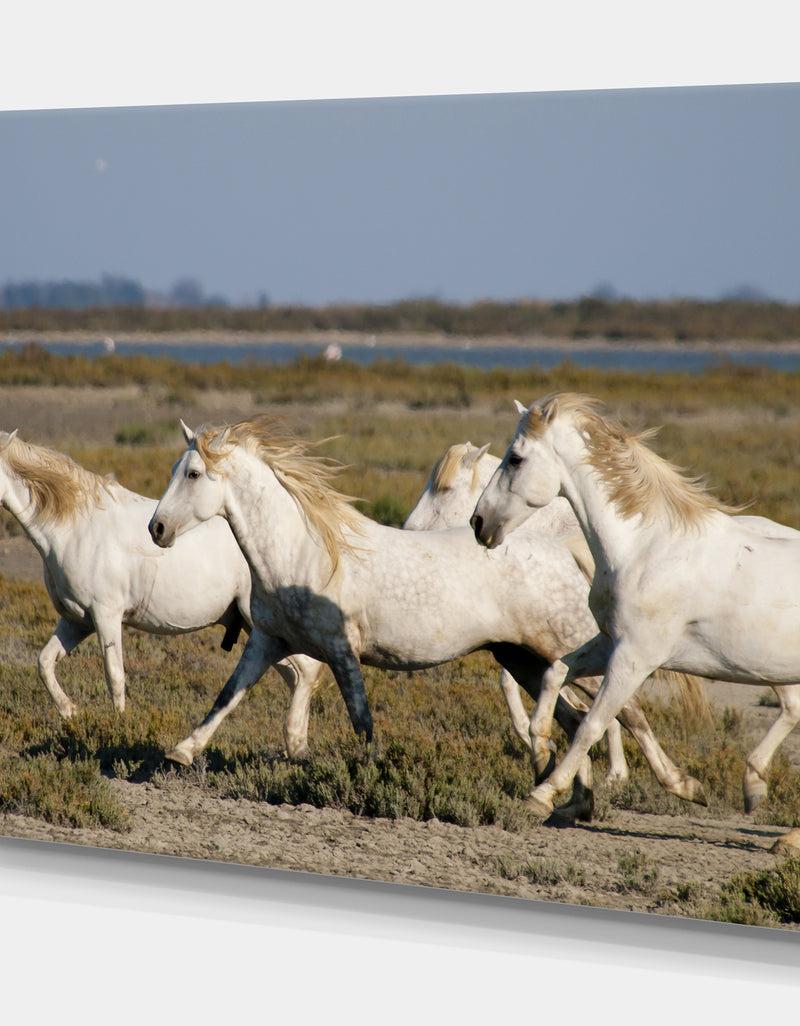 DesignQ France Galloping White Horse - Farmhouse Animals Photographic On Wrapped Canvas