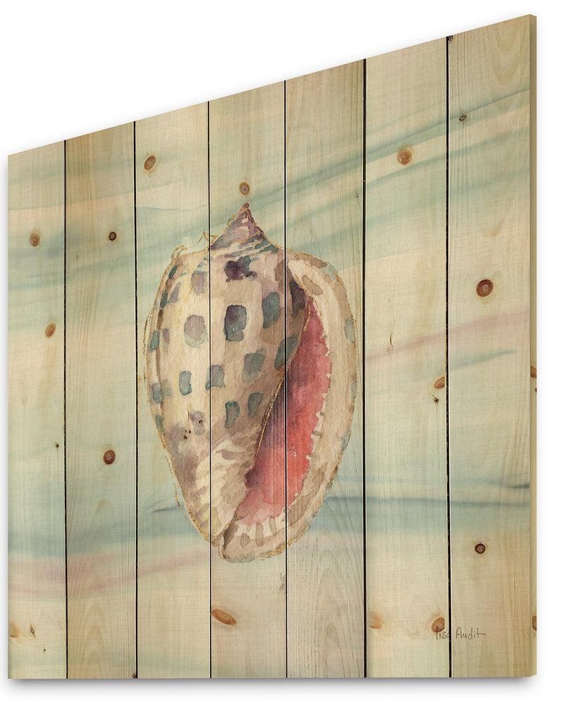 DesignQ Gilded Sea Horn Shell On Blue - Nautical & Coastal Print On Natural Pine Wood