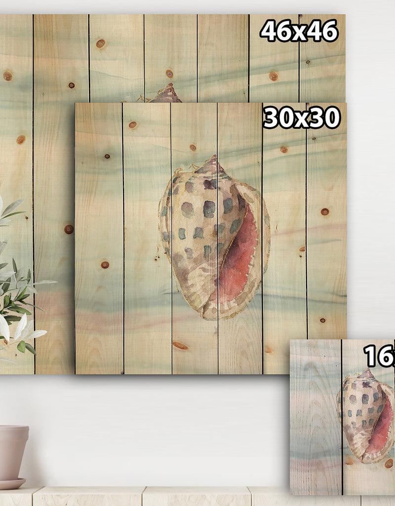 DesignQ Gilded Sea Horn Shell On Blue - Nautical & Coastal Print On Natural Pine Wood