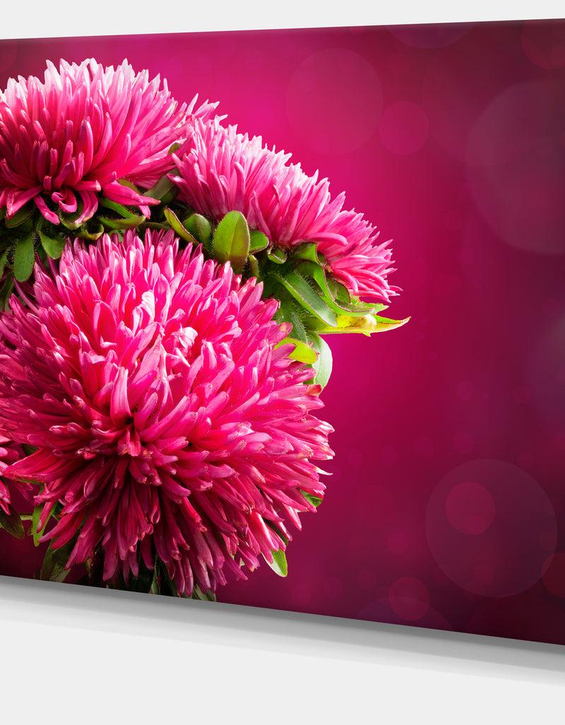 DesignQ Pink Flowers Of Asters On Red - Flowers Canvas Wall Artwork