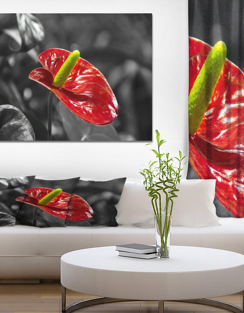 DesignQ Red Anthurium - Floral photography on wrapped Canvas DesignQ Red Anthurium - Floral photography on wrapped Canvas