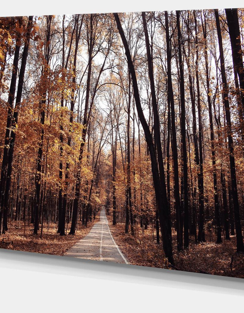DesignQ Road In Autumn Golden Forest - Large Forest Canvas Art