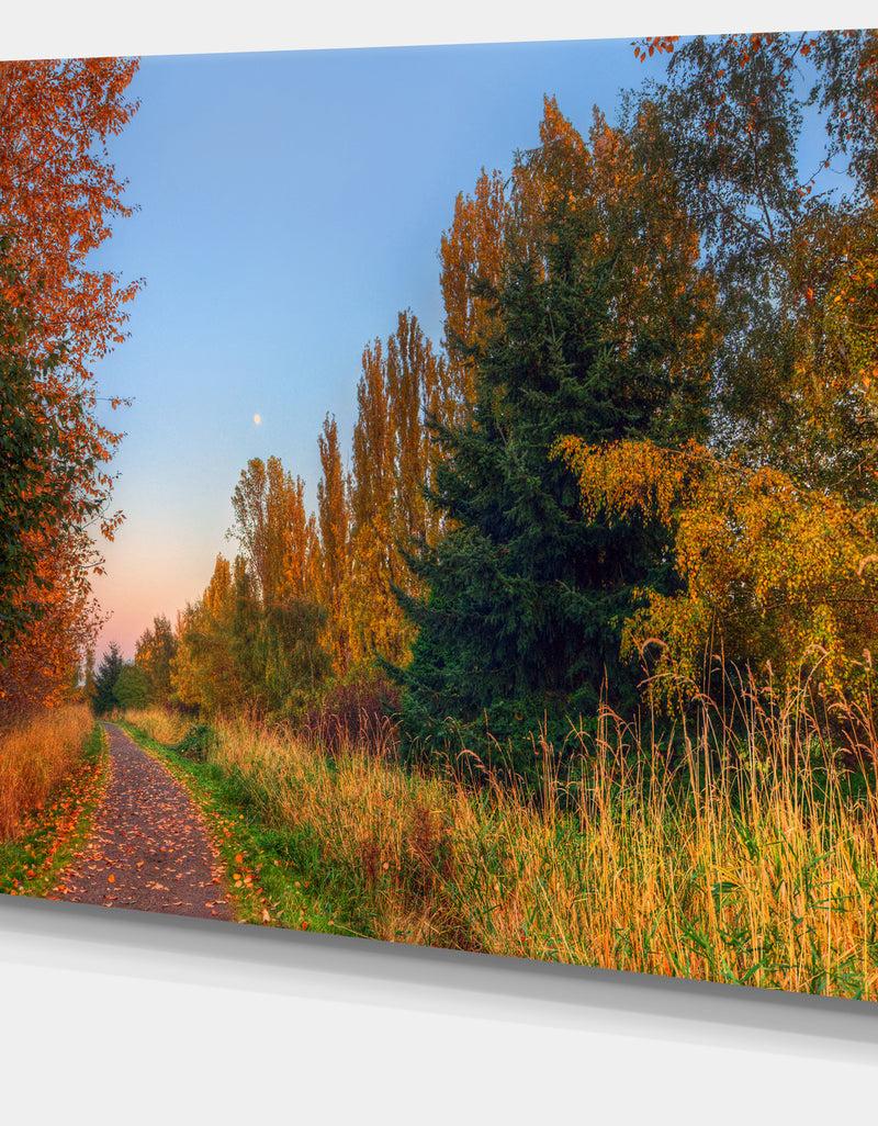 DesignQ Road Through Fall Forest - Extra Large Landscape Art Canvas
