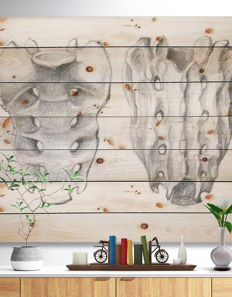 DesignQ Sacral bone double View - Bones Painting Print on Natural Pine Wood