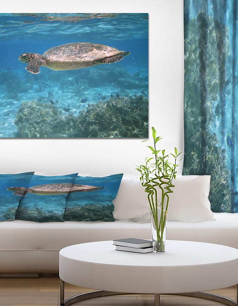 DesignQ Sea turtle - Sea & Shore Nautical Photographic on wrapped Canvas