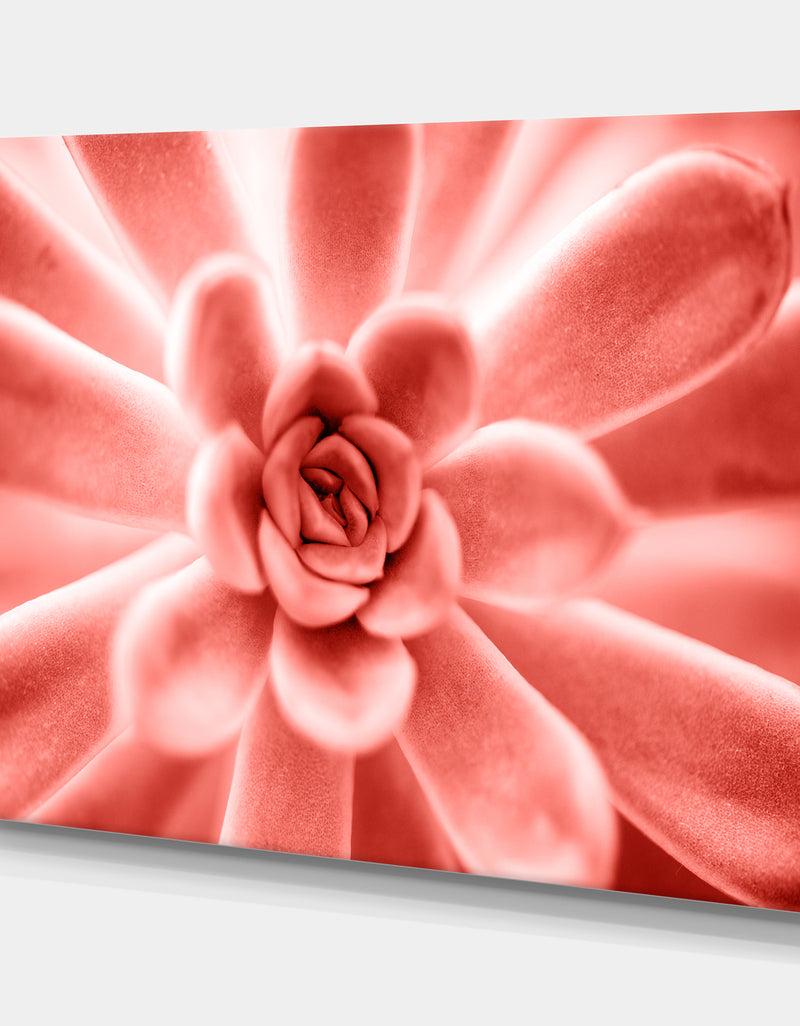 DesignQ Succulent Plant In Living Coral - Tropical Canvas Wall Art