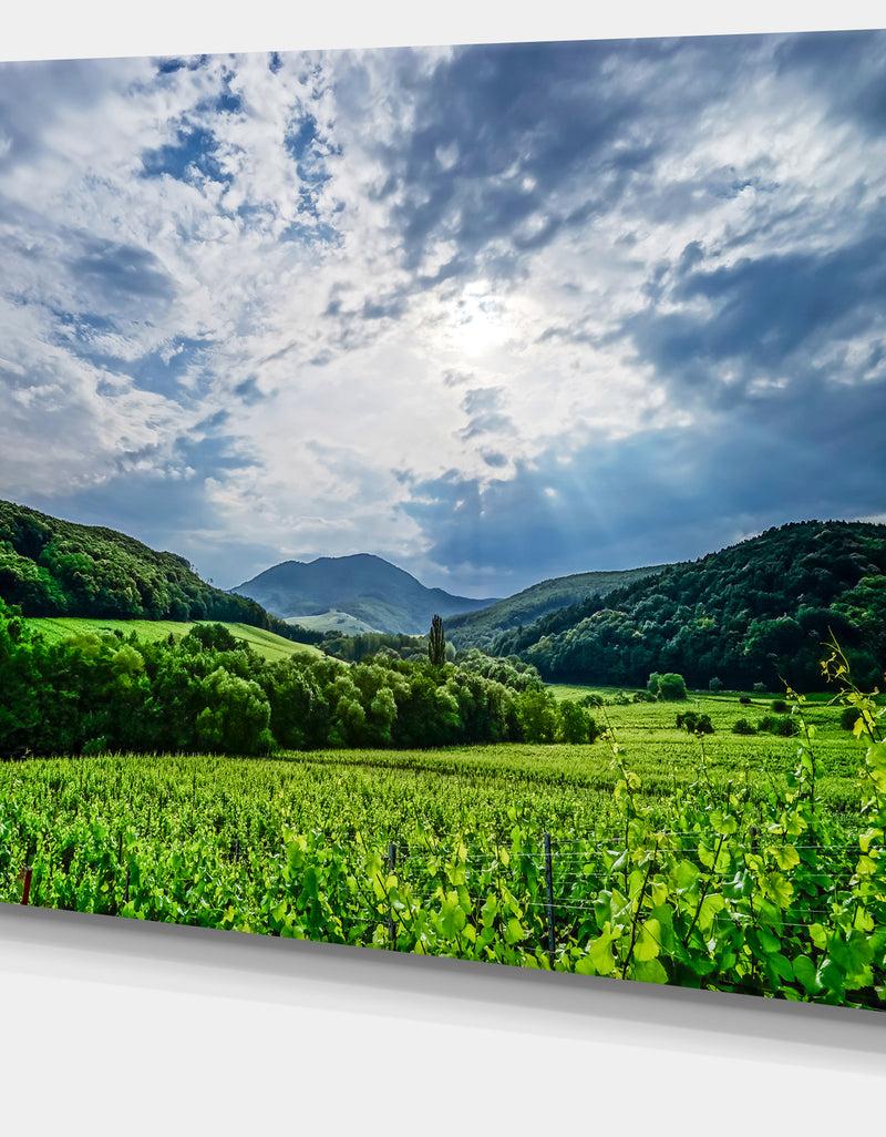 DesignQ Thunderstorm Weather Over Vineyards - Extra Large Landscape Canvas Art Print