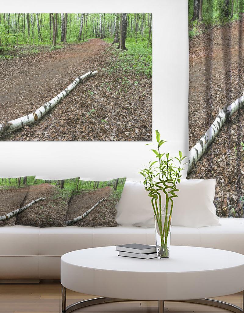 DesignQ Trunk of Birch on the Track - Contemporary Landscape Canvas Art