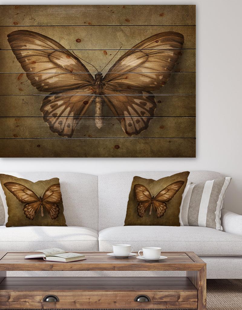 DesignQ Vintage Butterfly - Vintage Painting Print on Natural Pine Wood