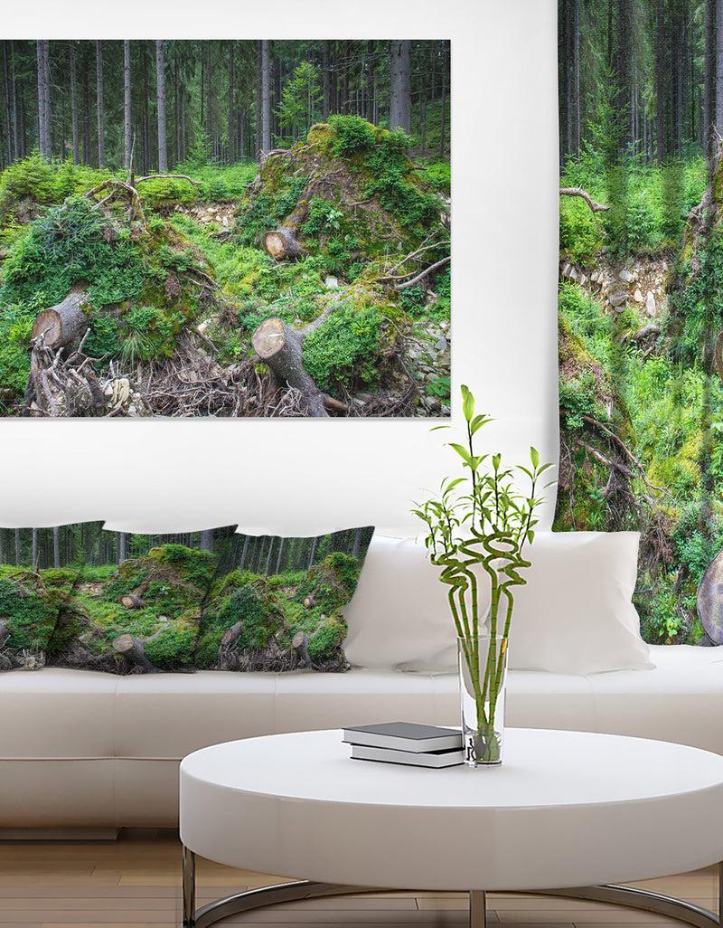 DesignQ Wild Deep Forest Rocks and Hills - Landscape Art Print Canvas