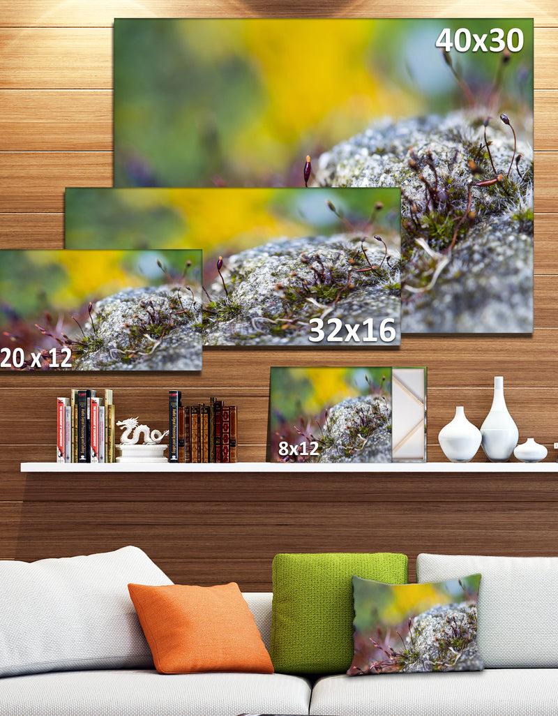 DesignQ Abstract Composition Of Moss Flowers - Modern Landscape Wall Art Canvas