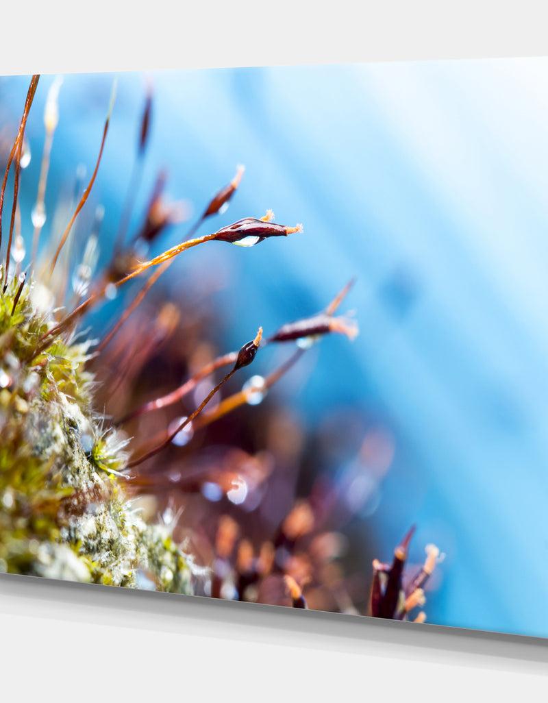 DesignQ Abstract Moss Flowers In Summer Spring - Landscape Art Print Canvas