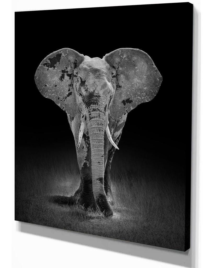 DesignQ African Big Elephant - Africa Animals Photography On Wrapped Canvas