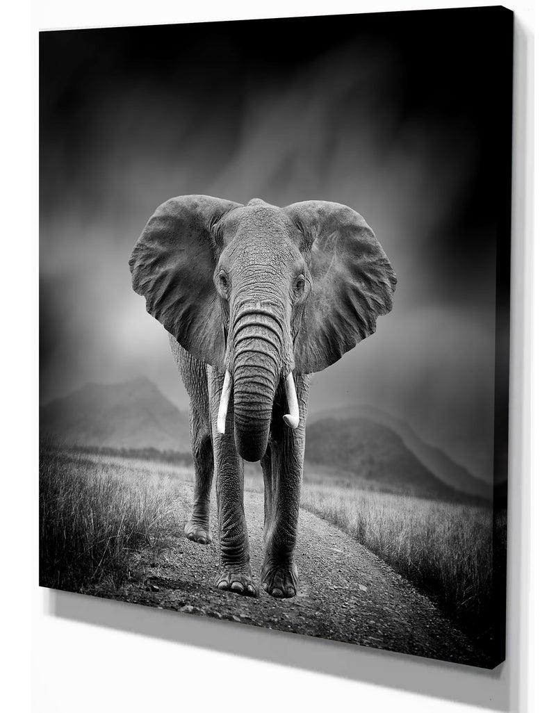 DesignQ African Elephant In Dark Background - Africa Animals Photography On Wrapped Canvas