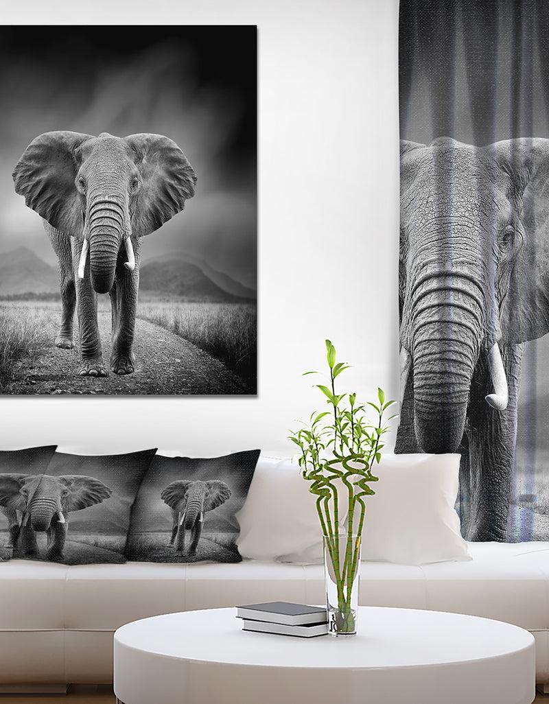DesignQ African Elephant in Dark Background - Africa Animals Photography on Wrapped Canvas