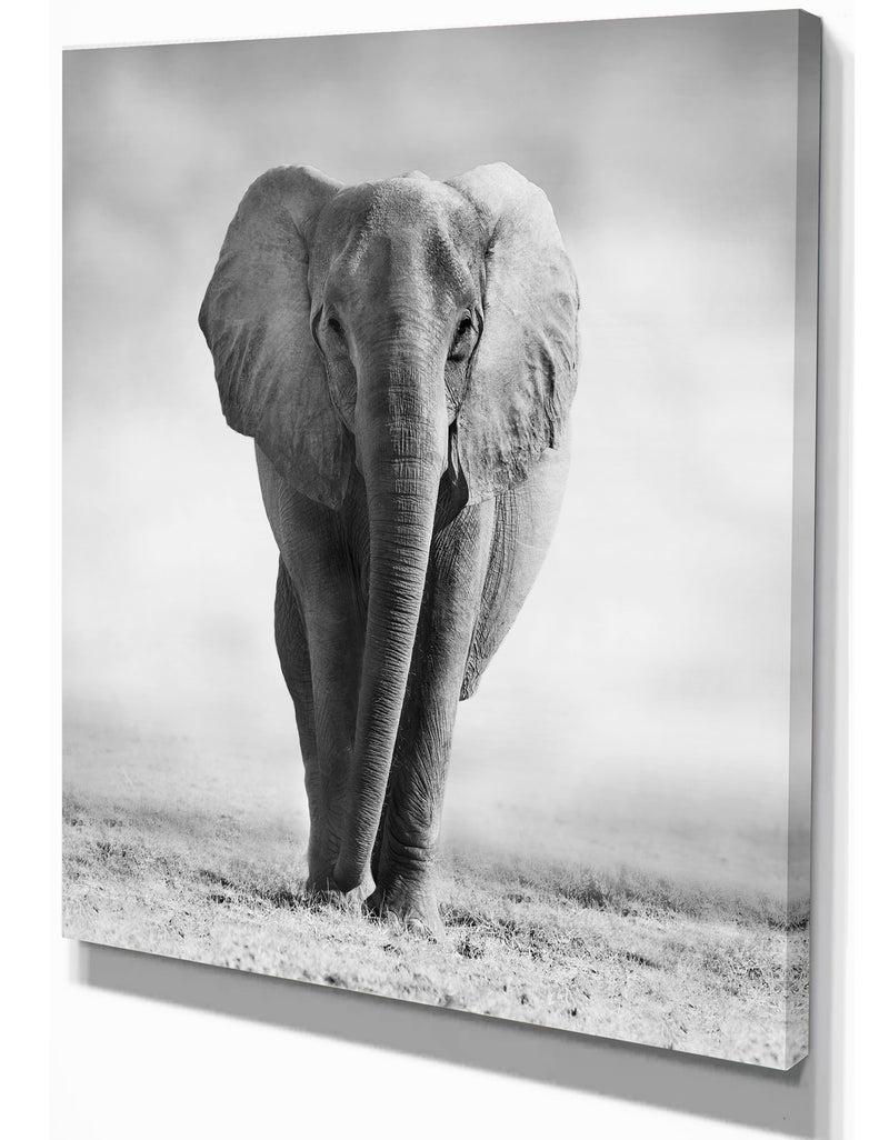 DesignQ African Elephant In The Wild - Africa Animals Photography On Wrapped Canvas