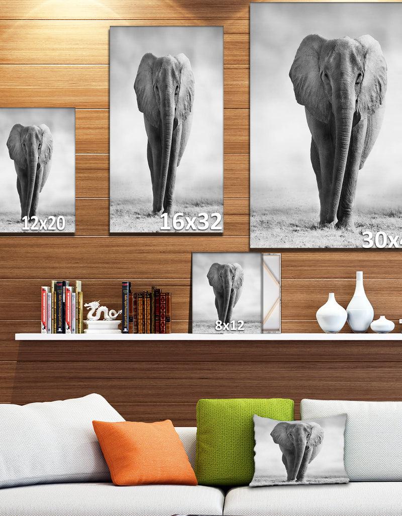 DesignQ African Elephant In The Wild - Africa Animals Photography On Wrapped Canvas