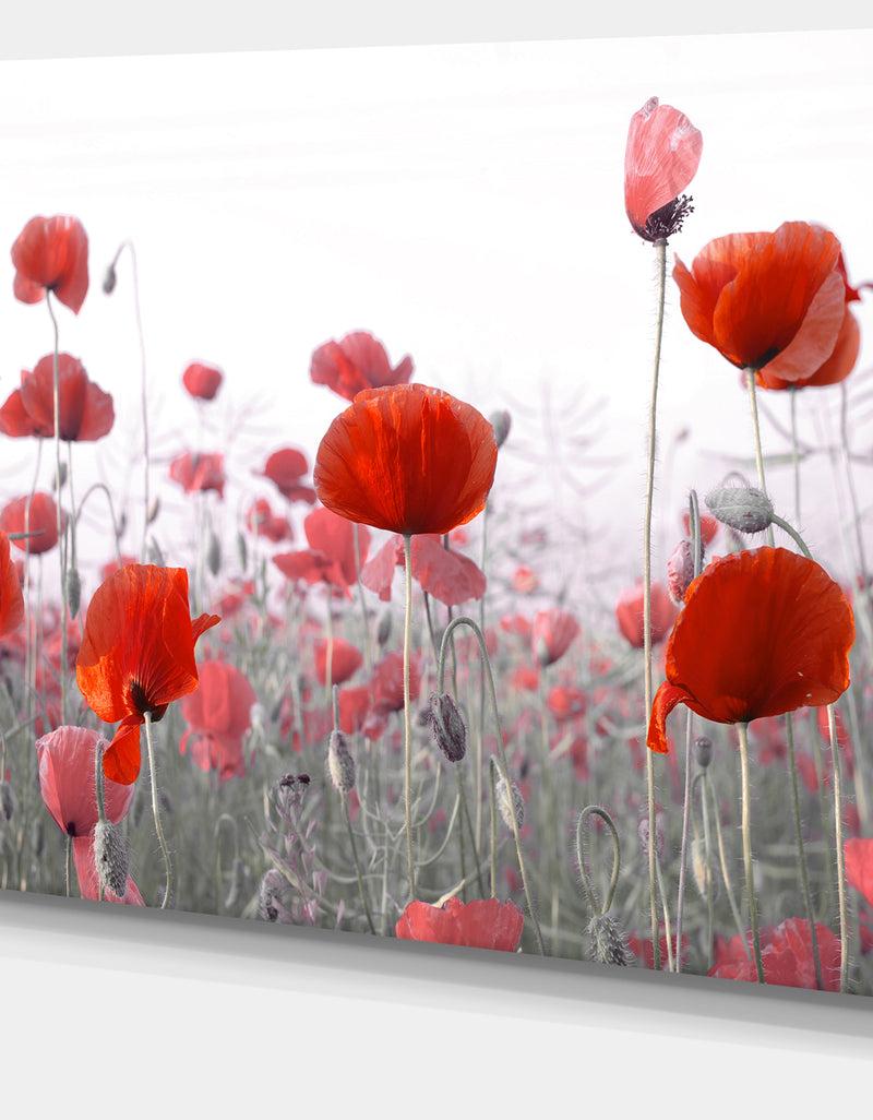 DesignQ Amazing Red Poppy Flower Garden - Flower Artwork On Canvas