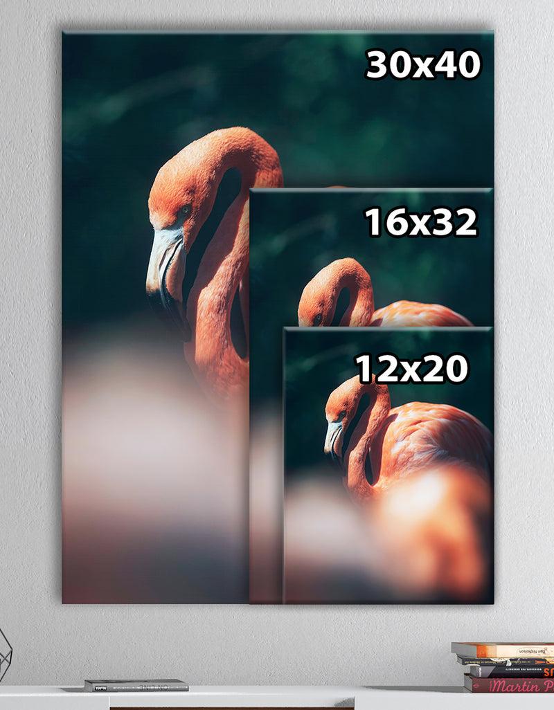 DesignQ American Flamingo In Between Vegetation Sunlight. - Tropical Canvas Wall Art