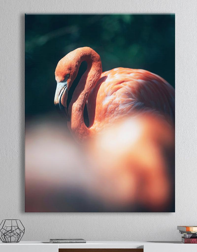 DesignQ American flamingo in between vegetation sunlight. - Tropical Canvas Wall Art