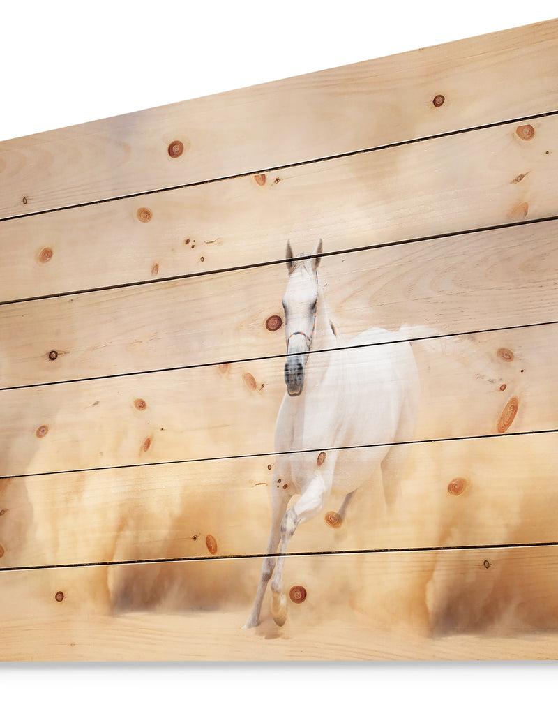 DesignQ Arabian Horse In Desert Storm - Photography Print On Natural Pine Wood