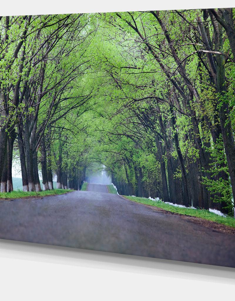 DesignQ Arched Trees Over Country Road - Landscape Photo Canvas Print