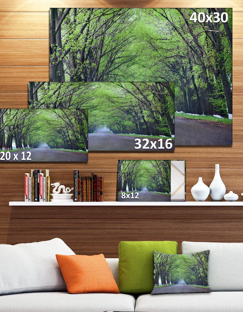 DesignQ Arched Trees Over Country Road - Landscape Photo Canvas Print