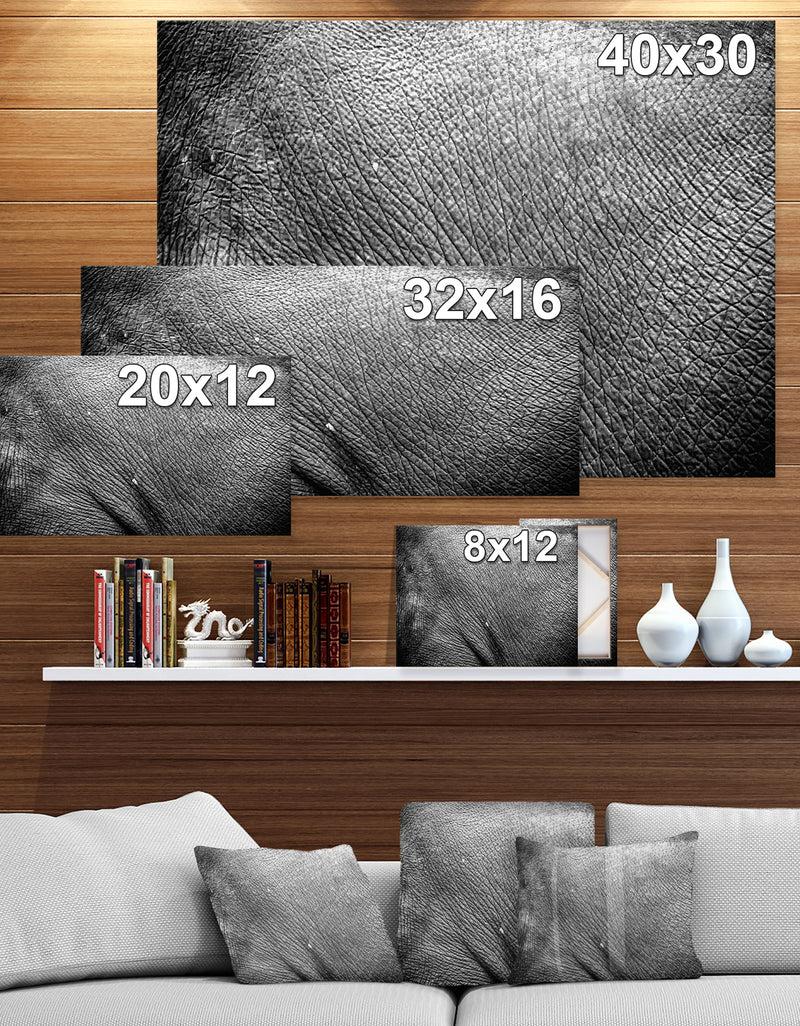 DesignQ Asia Elephant Skin - Africa Animals Photography On Wrapped Canvas